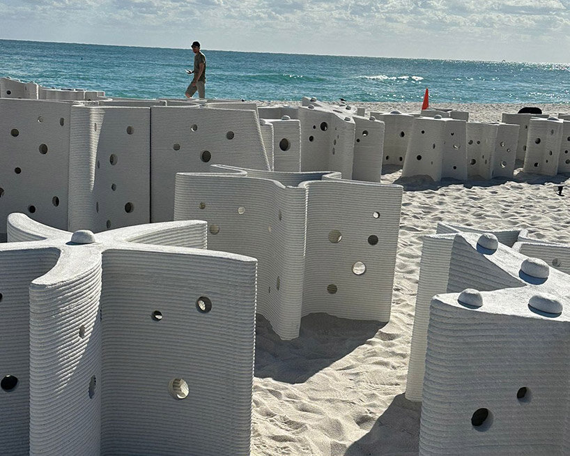the reefline's 'miami reef star' demonstrates future of miami beach's underwater ecosystems