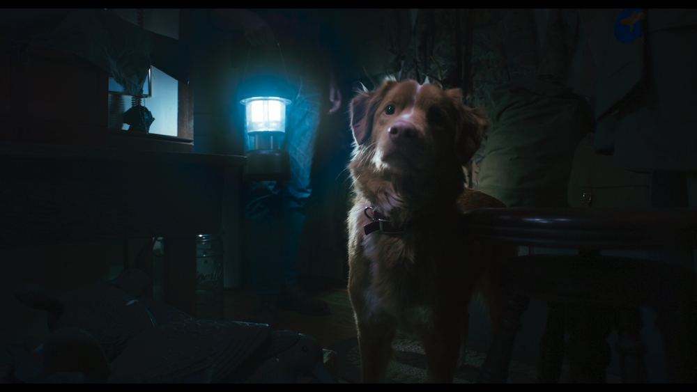 Horror Pic Debuts First Look From Brave Pup’s POV