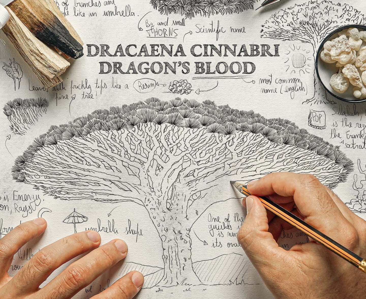 Remarkable and Intricate Illustrations of Gaspar Costa » Design You Trust — Design Daily Since 2007